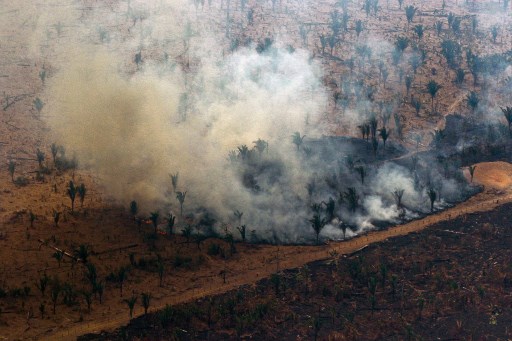 G7 aportará 22 millones de dólares para combatir los incendios en la Amazonía