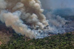 Brasil combate incendios en Amazonía tras aparición de focos nuevos