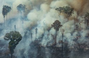 El humo ahoga el norte de Brasil mientras los incendios en la Amazonía se enfurecen