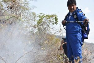 Evo Morales se perdió mientras combatía incendios en la Amazonía: 