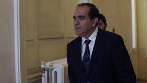 Presidente del Partido Radical espera que 