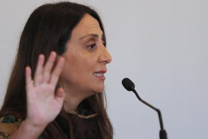 Ministra Pérez llama al Senado a aprobar Ley Antiterrorista: 