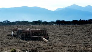 Ministerio de Agricultura declaró zona de emergencia agrícola para la Región de O'Higgins