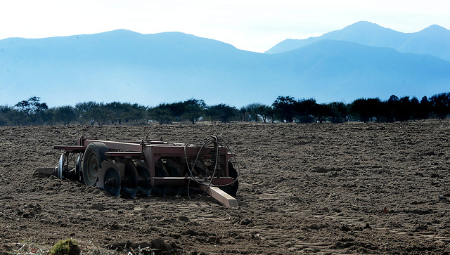 Ministerio de Agricultura declaró zona de emergencia agrícola para la Región de O’Higgins