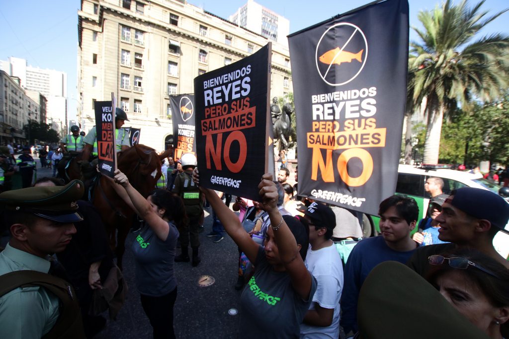 Greenpeace: “Credibilidad de la industria salmonera quedó contra las cuerdas”