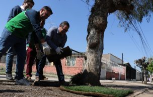 Nueva tecnología hidrogel ahorrara 50% de agua de riego en comuna de La Granja