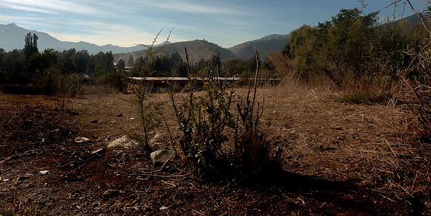 Gobierno evalúa decretar emergencia agrícola en RM, O’Higgins y Maule
