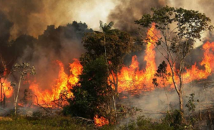Bolsonaro envía Fuerzas Armadas a la Amazonía para combatir incendios