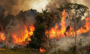 La ONU urge a Brasil a proteger la Amazonía arrasada por incendios