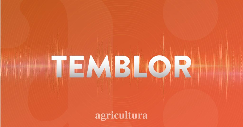 Seguidilla de réplicas tras fuerte sismo en la zona centro sur del país