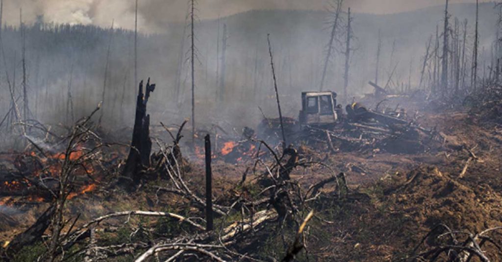 Presidente Piñera visitará Paraguay este miércoles por incendios forestales