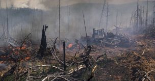 FOTO| Incendios forestales en Rusia se pueden ver desde el espacio