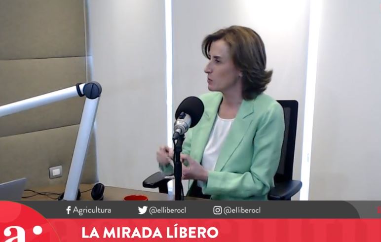 Ministra Cubillos y las críticas de la implementación del SAE: “Tenemos derecho a tratar de reformar las leyes”