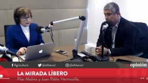 Abogado Luis Hermosilla: “Creo que hay encubrimiento” de los abusos de Renato Poblete