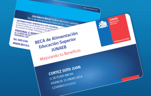 Tarjeta de alimentación de Junaeb se podrá usar en ferias y mercados