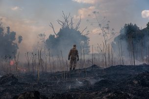 Deforestación de la Amazonía brasileña creció 91% de enero a agosto