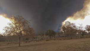 Incendios en Bolivia consumieron 4,1 millones de hectáreas, según ONG