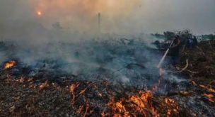 Oración multitudinaria en Indonesia para que la lluvia extinga los incendios