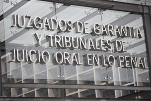 Tribunal Oral de Temuco condena a conductor que abandonó a peatón muerto