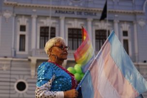 Comisión deberá votar un total de 13 indicaciones sobre el proyecto de matrimonio igualitario