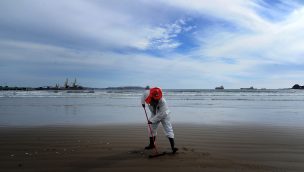 Valparaíso: Denuncian cuarto día de varamiento de carbón en playa Ventanas