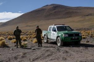 Detienen a 57 contrabandistas bolivianos en megaoperativo en altiplano de Arica