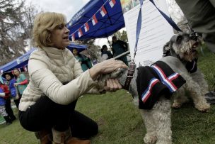 Fonda de Mascotas vive su tercera edición en Providencia