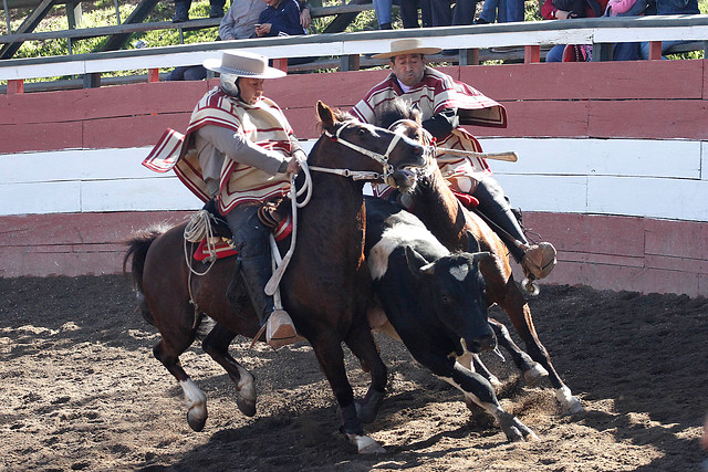 Ministra del Deporte respalda el rodeo: “Son 100% condenable las tres medialunas que se han quemado”