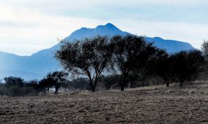 Gobierno decretó zona de catástrofe por sequía en la Región de Valparaíso