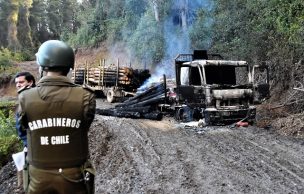 Se registró ataque incendiario en un predio de Forestal Mininco en La Araucanía