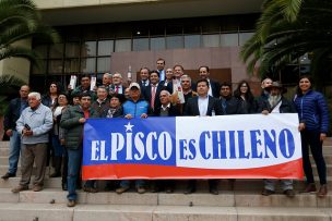Senadores pedirán glosa presupuestaria para la defensa del pisco chileno