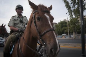 Niña con pronóstico de vida de una semana cumplió su sueño en Carabineros