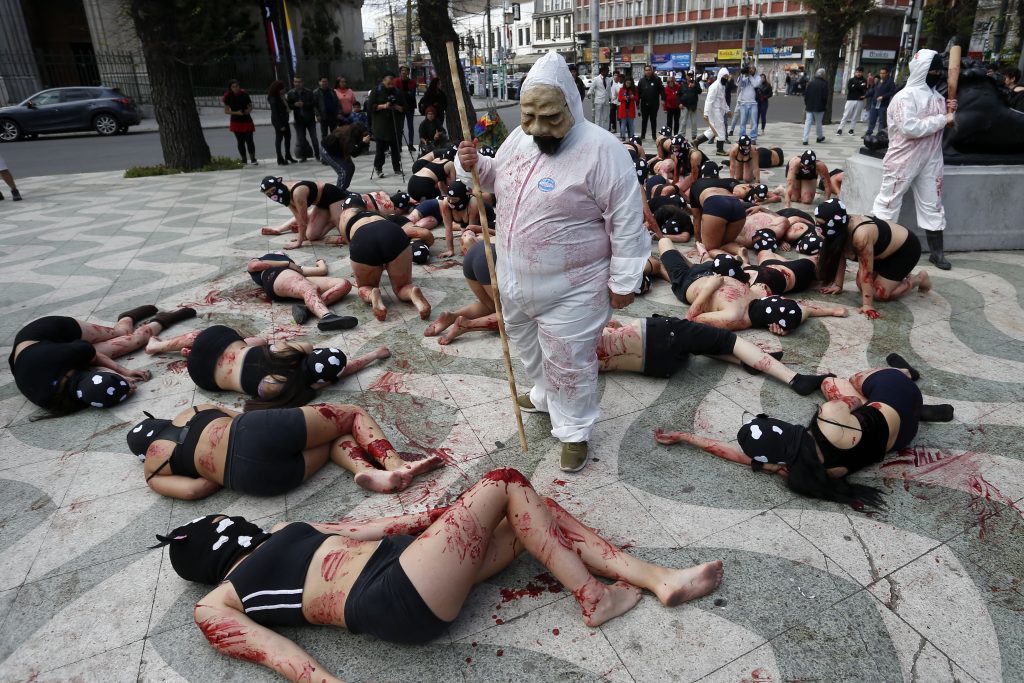 Sangrienta intervención: Artistas veganos llaman a no consumir carne este “18”