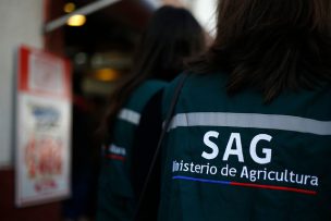 SAG intensifica vigilancia en zona que se detectó influenza aviar