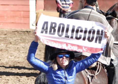 “Me dijo que debía irme de Chile”: Eliana Albasetti denuncia amenazas tras protestar contra el rodeo