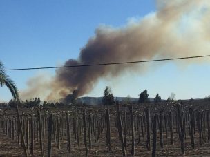 Incendio en comuna de Las Cabras complica a Bomberos: No hay acceso para carros