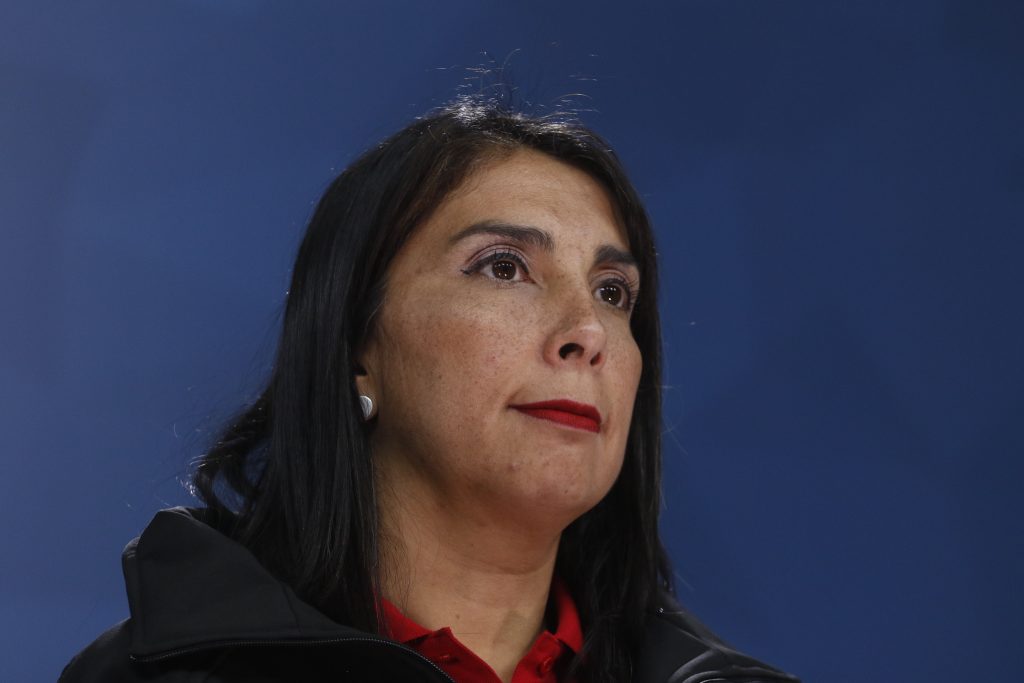 Karla Rubilar tras multitudinaria marcha: “No es contra un gobierno particular”