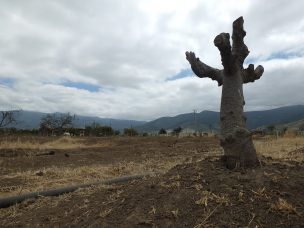 Crisis hídrica: Vecinos de comuna de San Esteban se toman ruta internacional