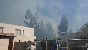 Valparaíso: Controlan incendio forestal y bajan la Alerta Roja