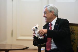 Presidente Piñera publica video de dos toros chocando y dice que eso no puede pasar en Chile
