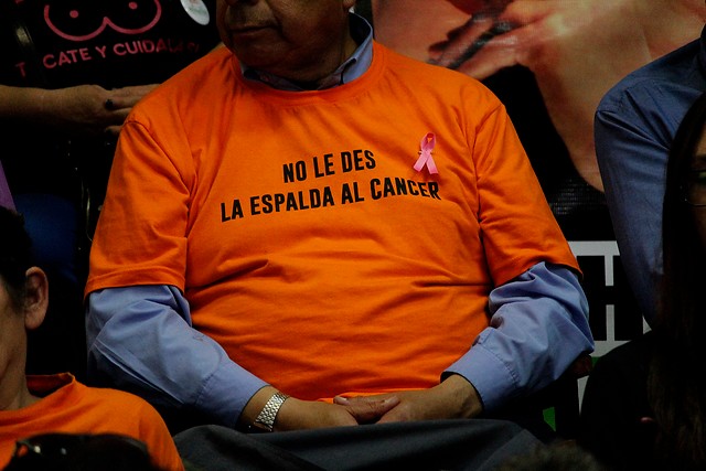 Viña del Mar se suma a campaña mundial contra el cáncer de mama