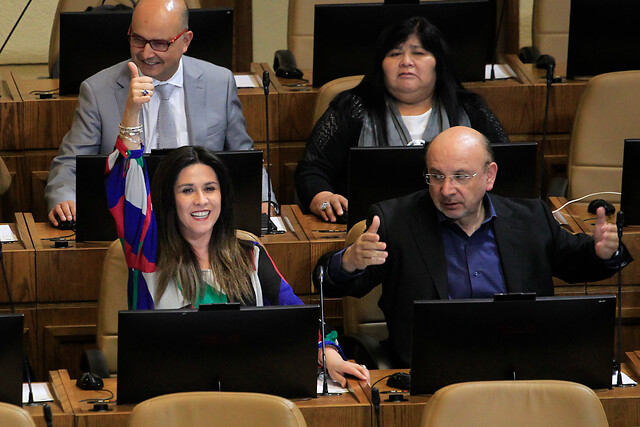 Cámara de Diputados aprobó proyecto de rebaja del 50% de los sueldos de autoridades de Gobierno y parlamento