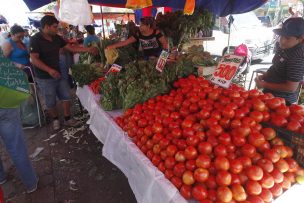 Confederación de ferias libres anuncian que funcionan con normalidad y calma