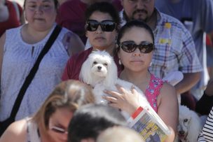 Disponen dos mil microchips gratuitos en fiesta mascotera del Parque O'Higgins