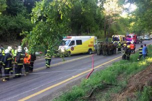 Revelan identidades de accidente en La Araucanía que dejó tres víctimas fatales