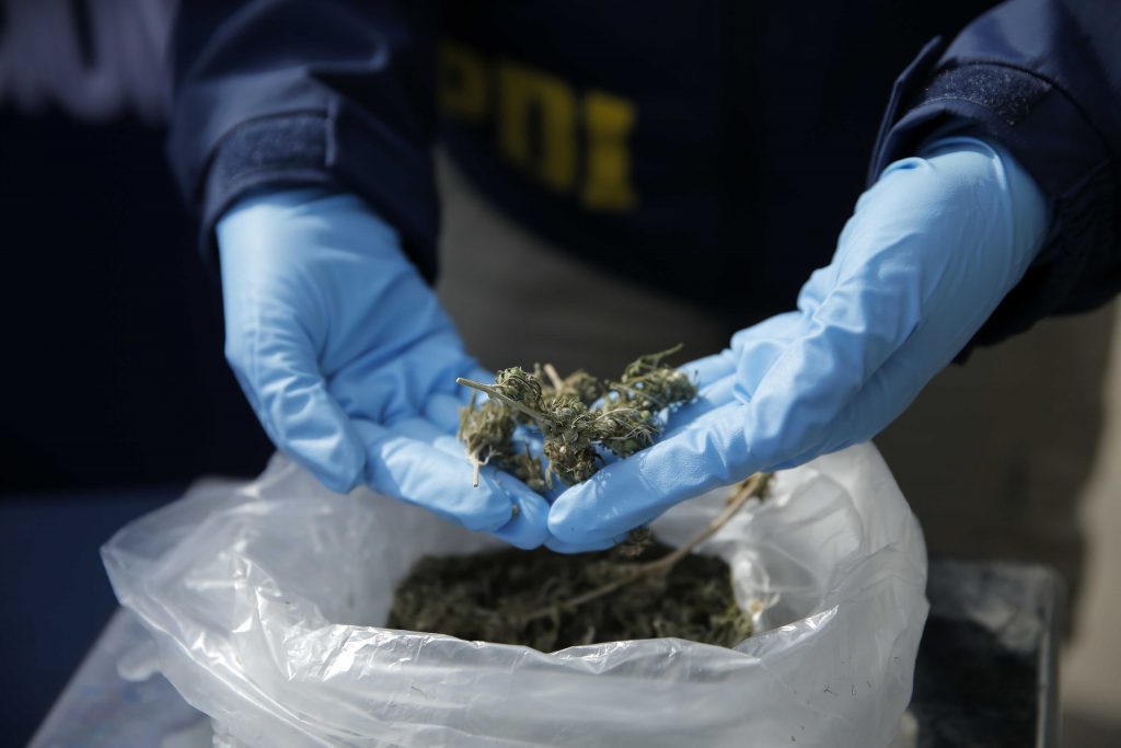 Sacan de circulación 105 dosis de cocaína y 144 de marihuana en Valparaíso