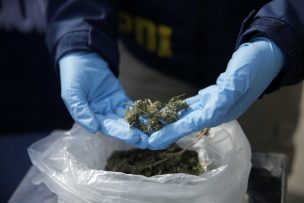 Sacan de circulación 105 dosis de cocaína y 144 de marihuana en Valparaíso