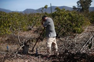 Ministerio de Agricultura pone prioridad en pequeños productores en la agenda social de la cartera