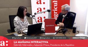 Presidente Piñera sobre la violencia en la Araucanía: 