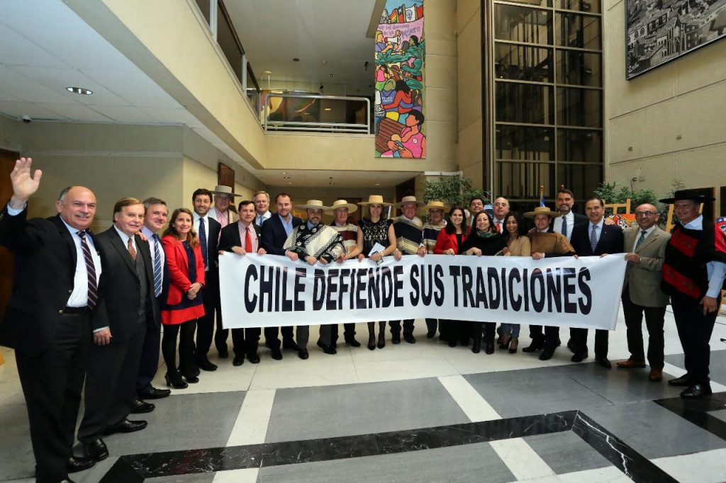 Diputados UDI crean “Bancada por las Tradiciones” para defender el rodeo, las domaduras de caballos y las carreras de galgos